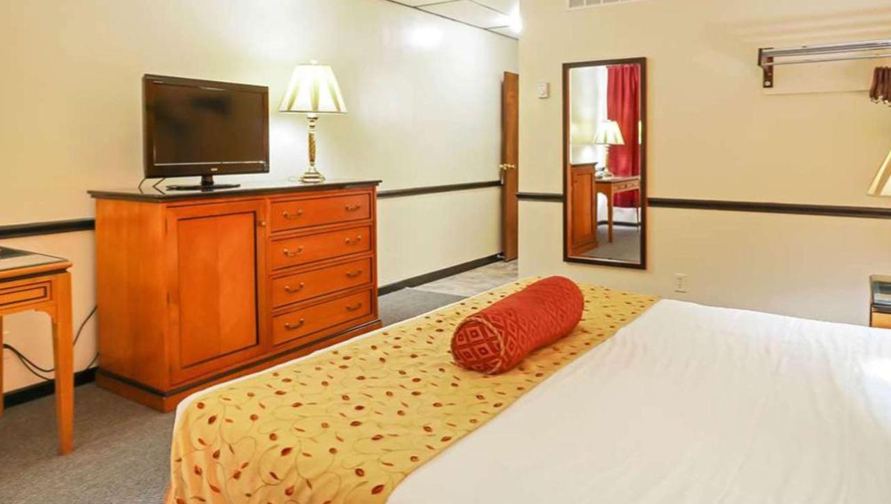 Locanda M Star - Hall Of Fame